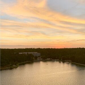 Meet your Posher, Alaynie